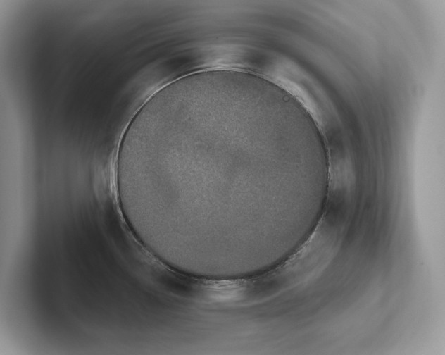 X0000101421338200807211121
