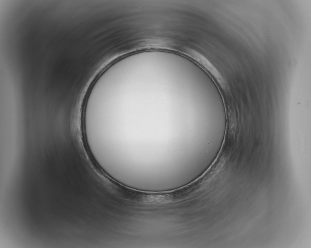 X0000101421339200807211121
