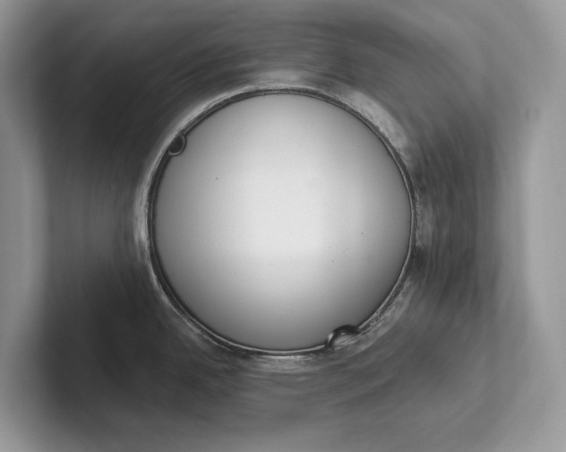 X0000101421342200807211121
