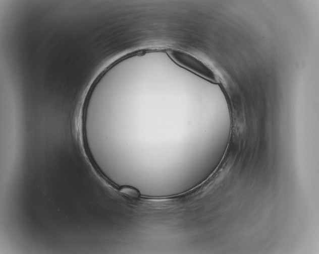 X0000101421343200807211121