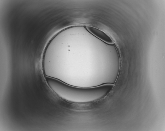X0000101421344200807211121