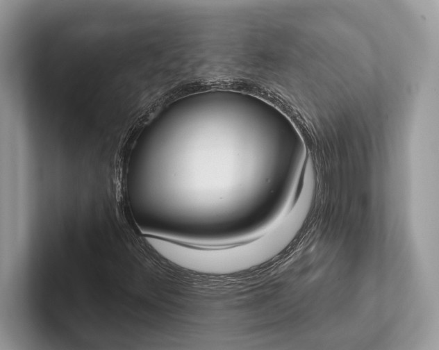 X0000101421348200807211120