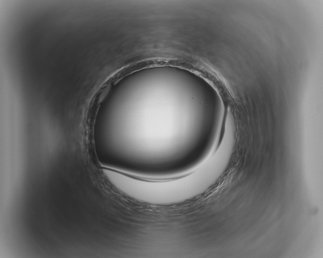 X0000101421352200807211120
