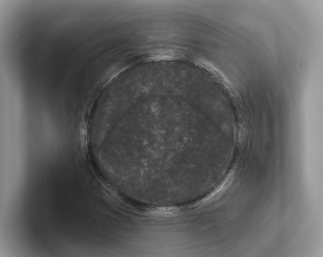 X0000101421353200807211120