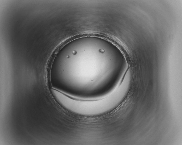 X0000101421356200807211120