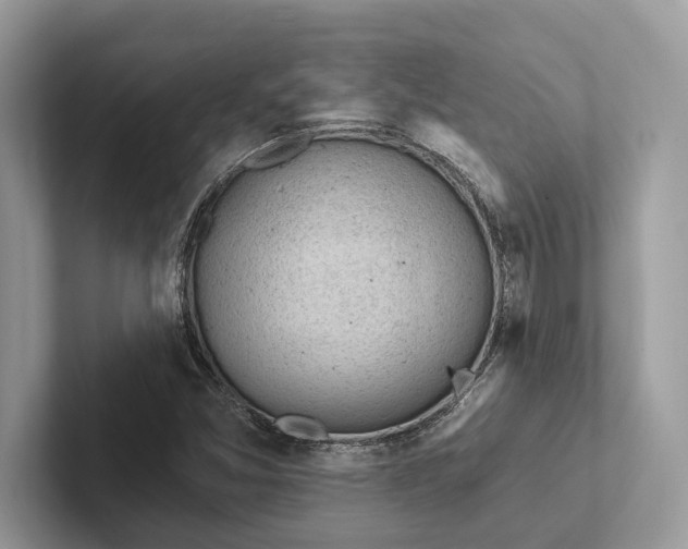 X0000101421357200807211120