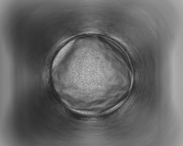 X0000101421359200807211120