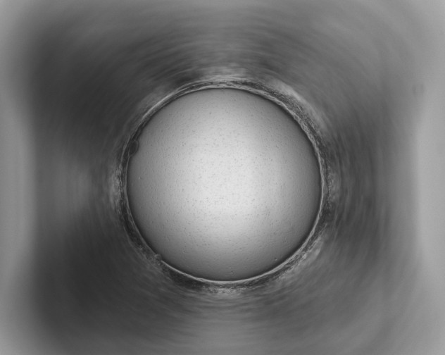 X0000101421361200807211120