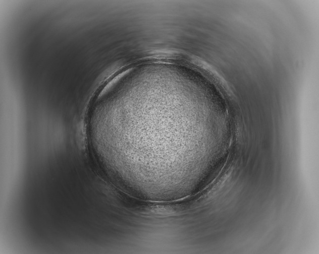 X0000101421362200807211120