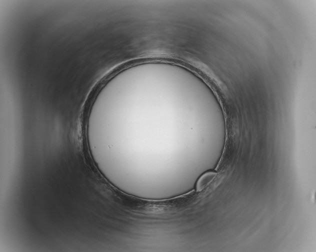 X0000101421364200807211120