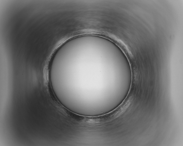 X0000101421365200807211120
