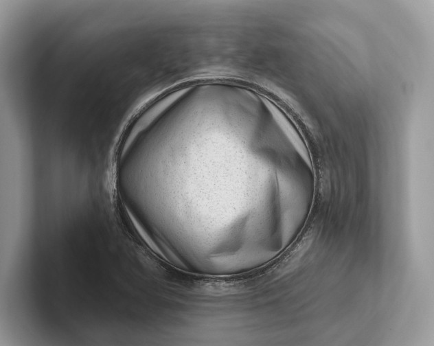 X0000101421366200807211120