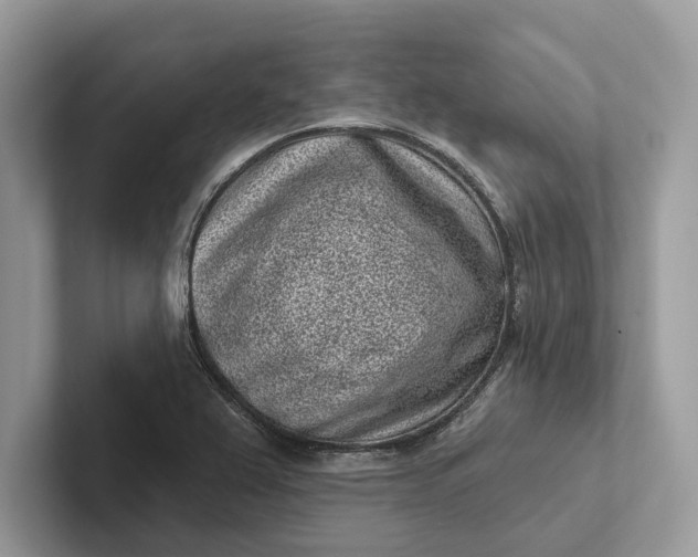 X0000101421367200807211120