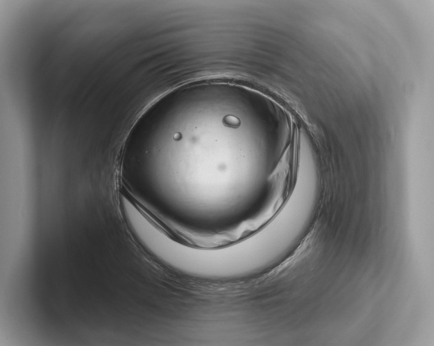 X0000101421369200807211120