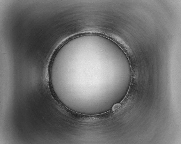 X0000101421372200807211120