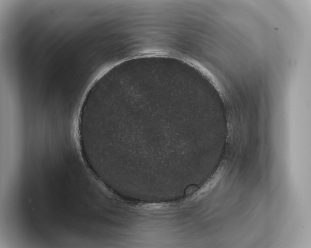 X0000101421373200807211120