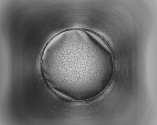 X0000101421374200807211120