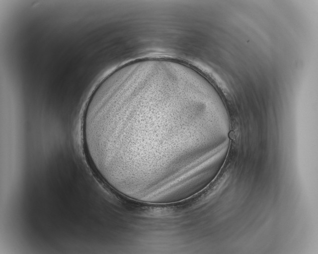 X0000101421375200807211120