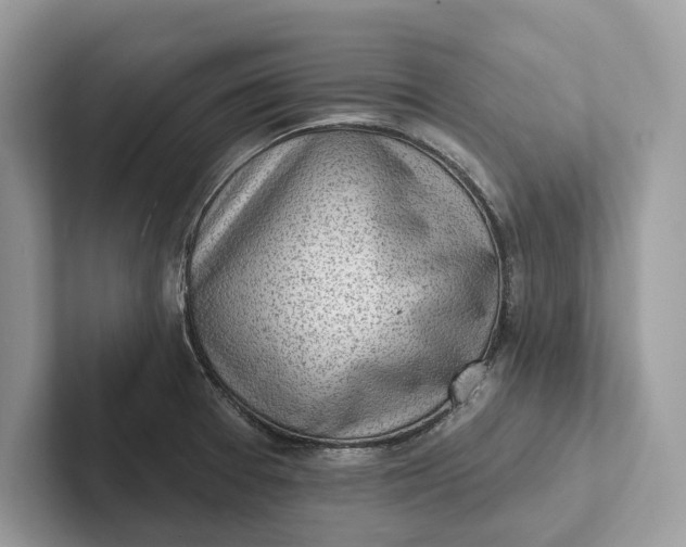 X0000101421377200807211119