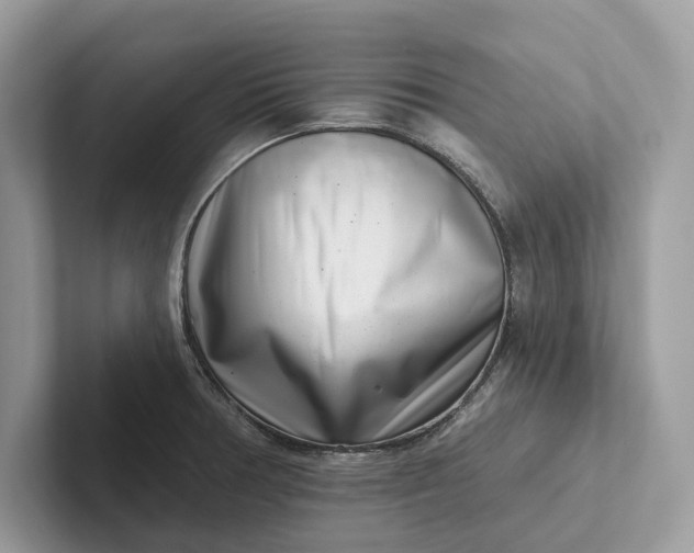 X0000101421378200807211119