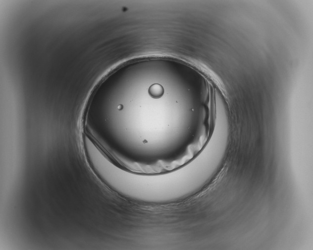 X0000101421380200807211119