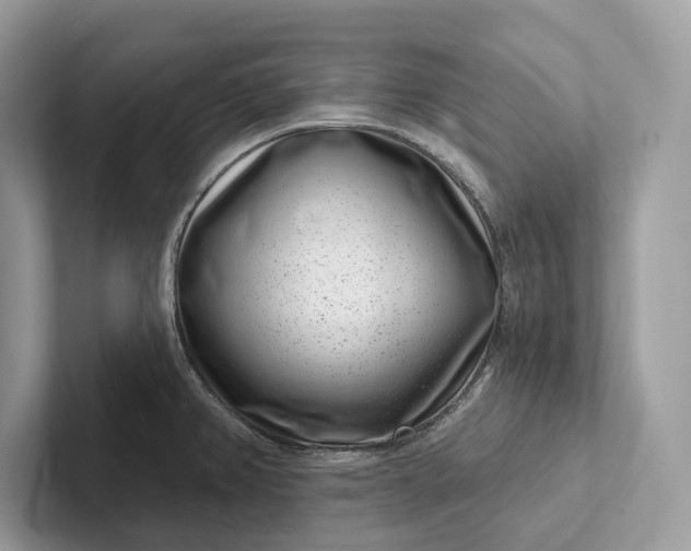 X0000101421382200807211119