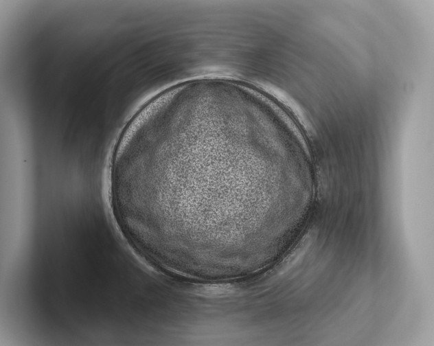 X0000101421383200807211119