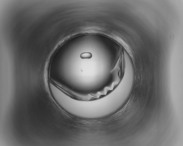 X0000101421384200807211119