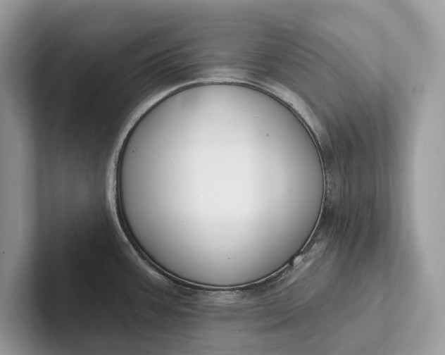 X0000101421387200807211119