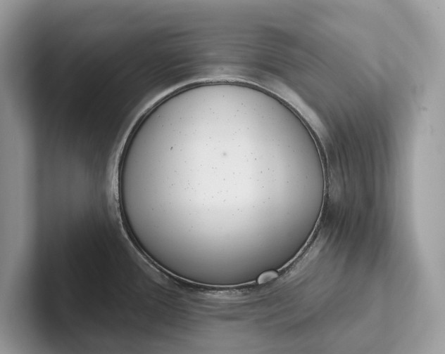 X0000101421388200807211119
