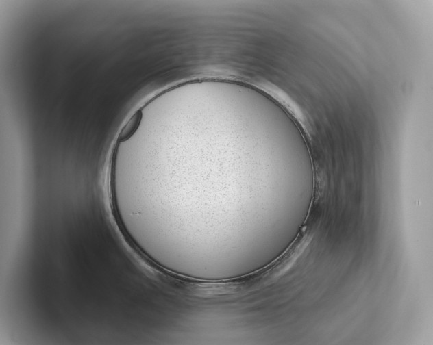 X0000101421391200807211119