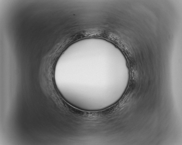 X0000101421393200807211119
