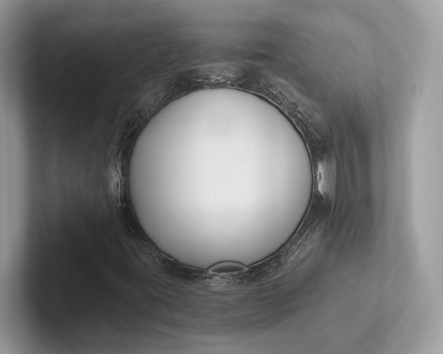 X0000101421395200807211119