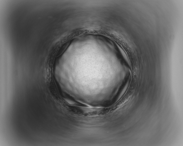 X0000101421398200807211119