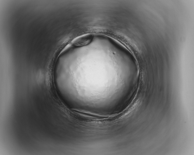 X0000101421405200807211119
