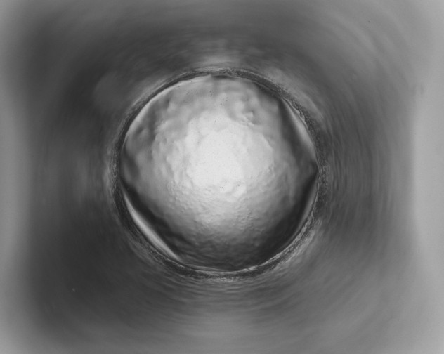 X0000101421413200807211119
