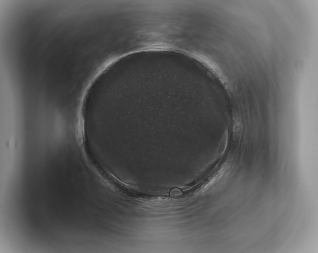 X0000101421414200807211119