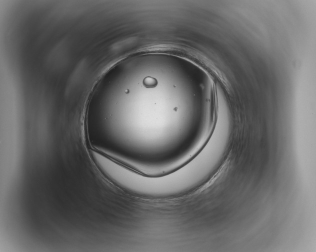 X0000101421417200807211119