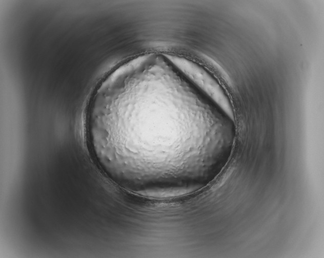 X0000101421419200807211119