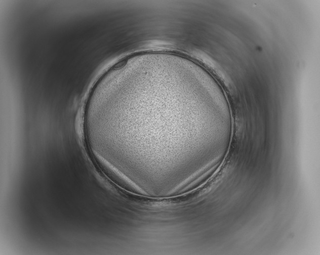 X0000101421421200807211119