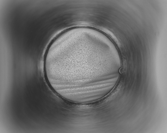X0000101421424200807211119