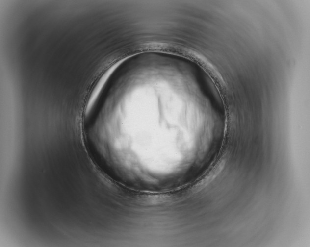X0000101421425200807211119