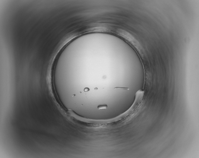 X0000101421426200807211119