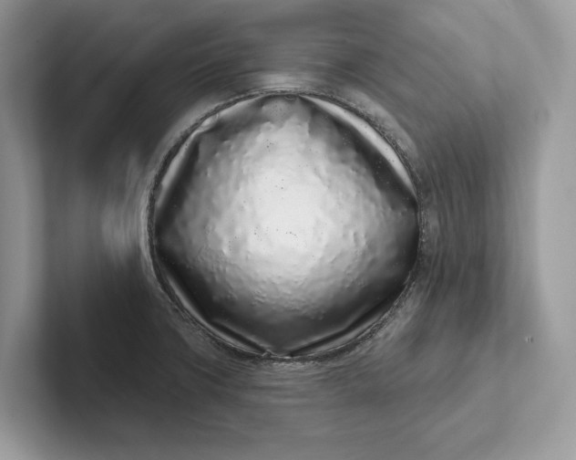 X0000101421427200807211119