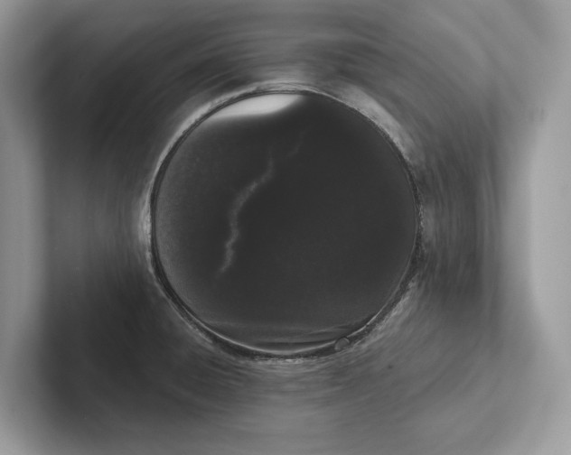 X0000101421428200807211119