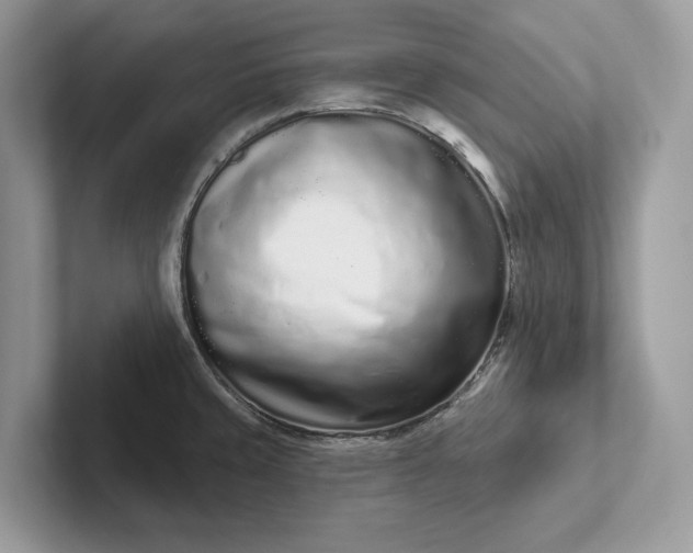 X0000101421429200807211119
