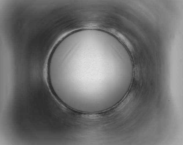 X0000101421432200807211119