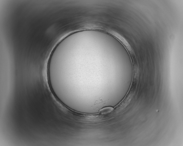 X0000101421439200807211119