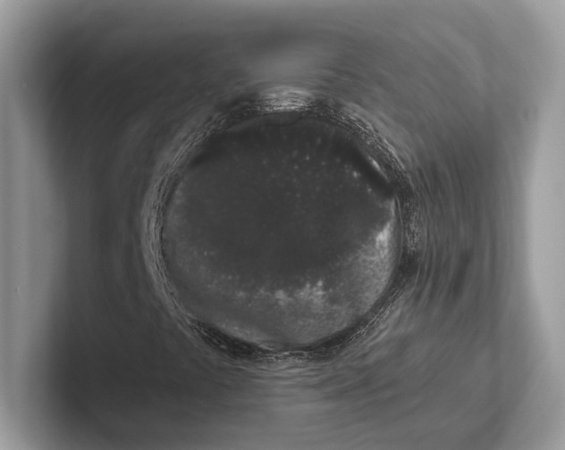X0000101421441200807211119