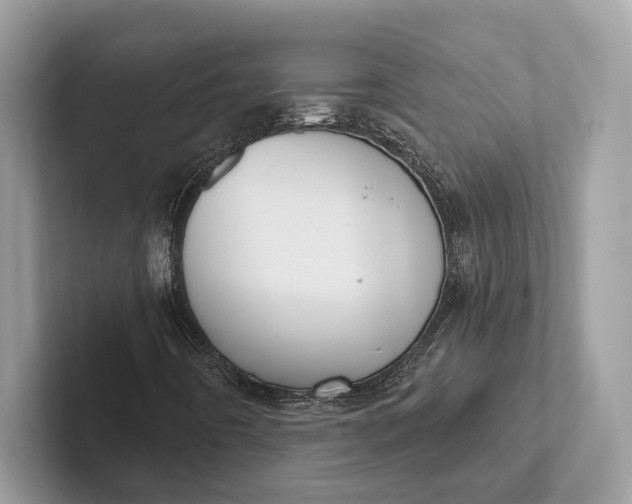 X0000101421442200807211119